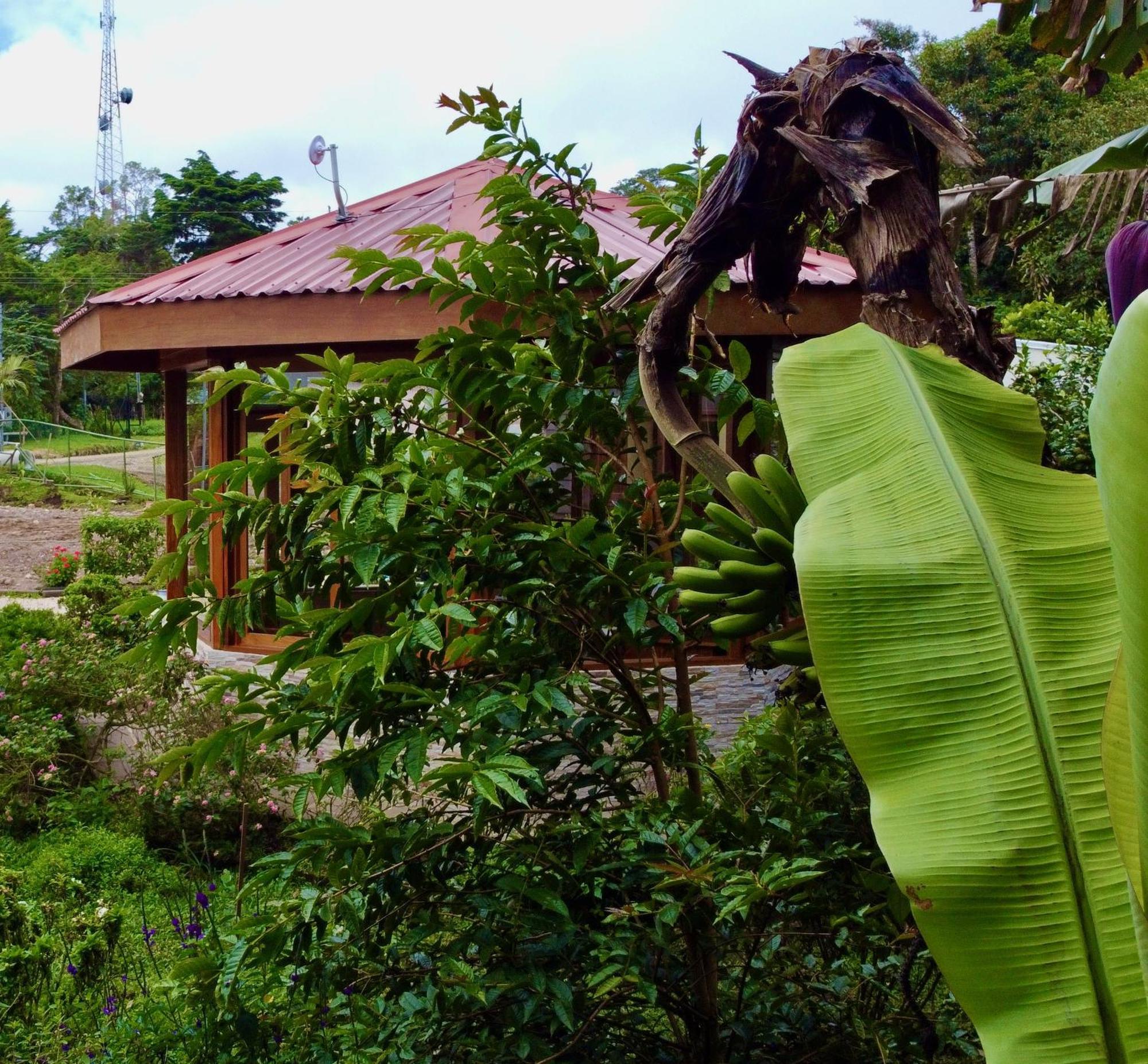 Cabina Monteverde Soan De Montana Apartment Exterior foto